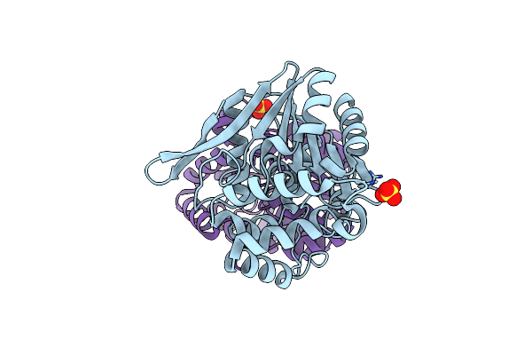 1HKH image