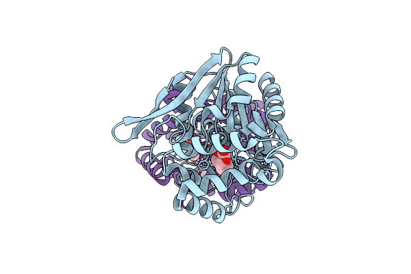 1HL7 image