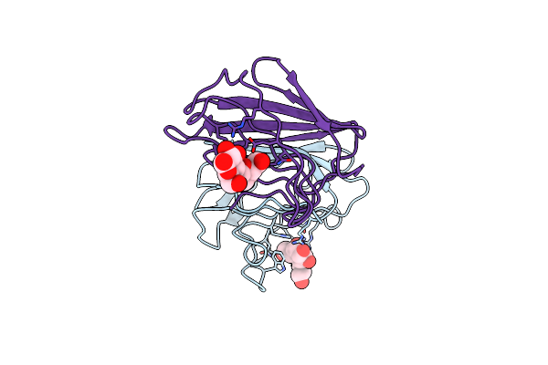 1HLC image
