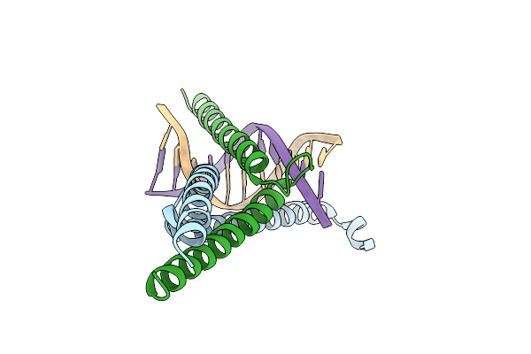 1HLO image