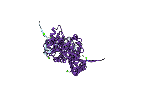 1HM0 image