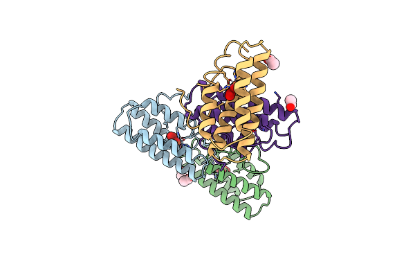 1HMO image
