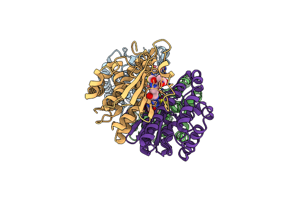 1HNC image