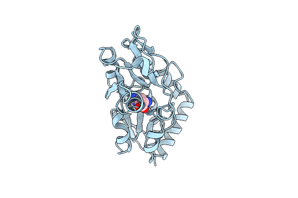 1HPB image