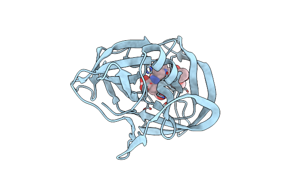 1HPG image