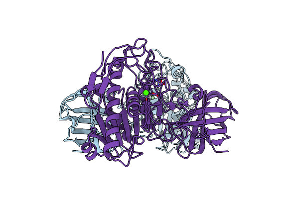 1HPL image