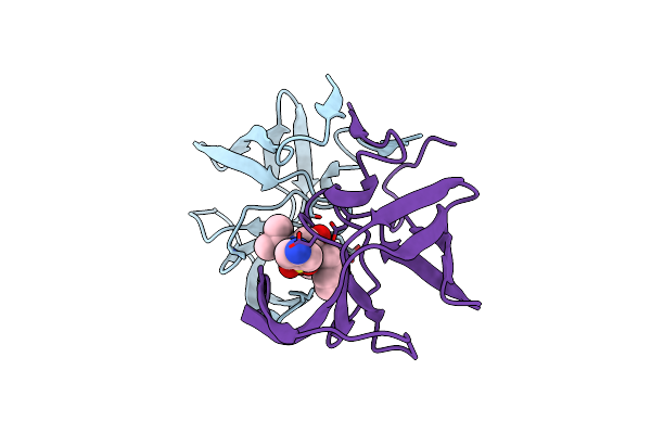1HPV image