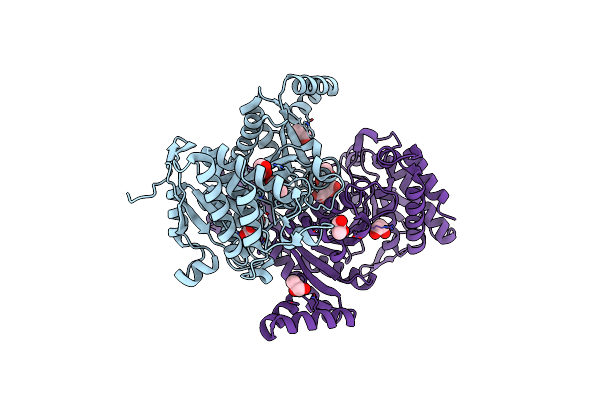 1HQS image