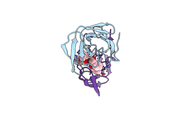 1HSG image