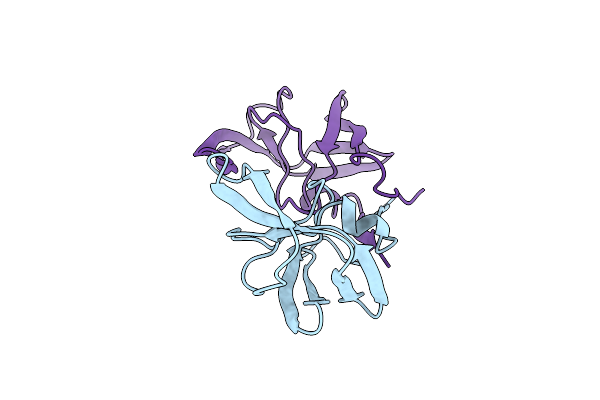 1HSI image