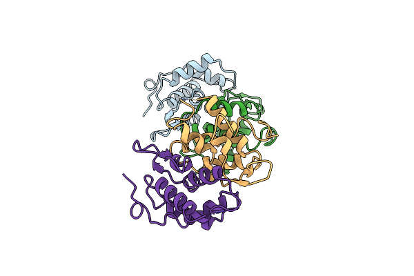 1HSS image