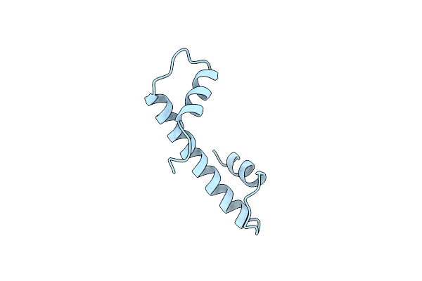 1HTA image