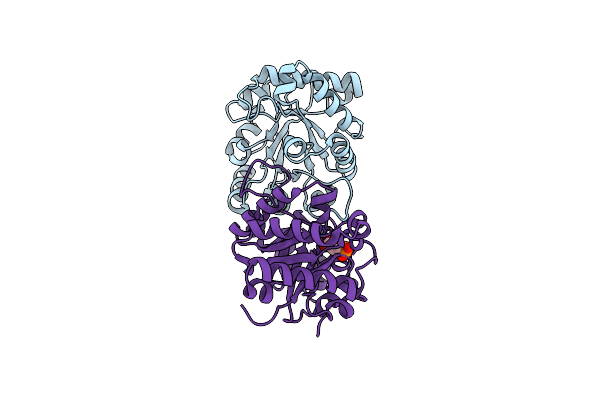 1HTI image