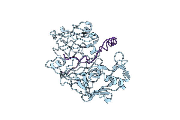 1HTR image