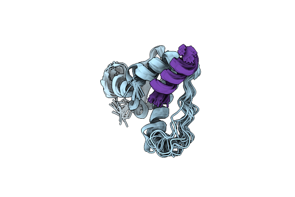 1HV2 image