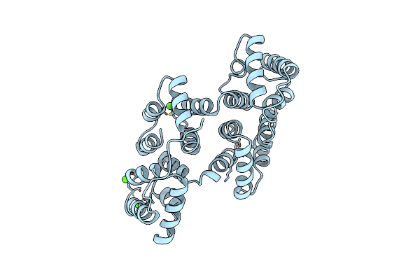 1HVD image