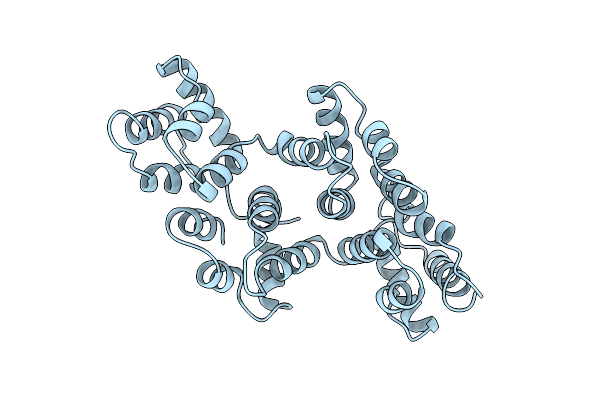 1HVG image