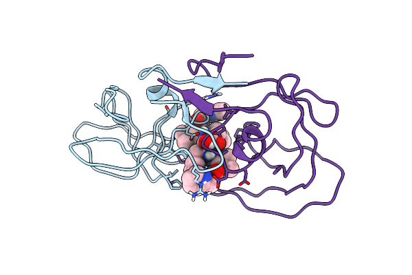 1HVI image