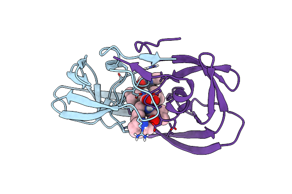 1HVS image