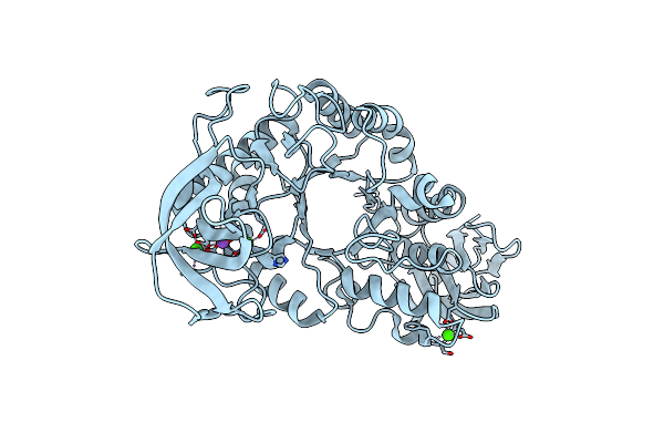 1HVX image