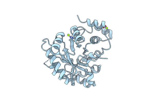 1HW6 image