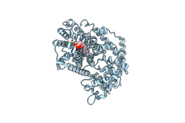 1HX9 image