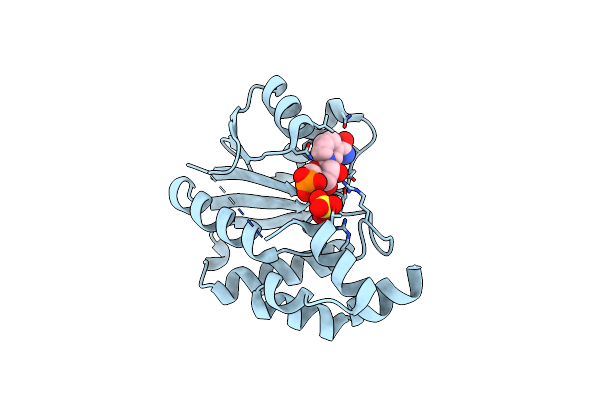 1HYB image