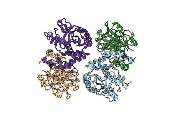 1HYN image