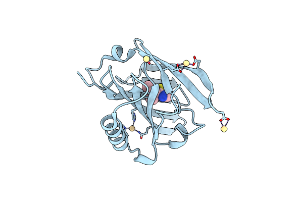 1I06 image