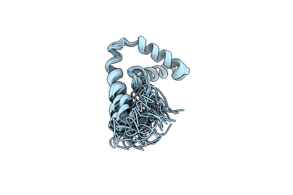 1I11 image