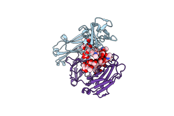 1I1C image
