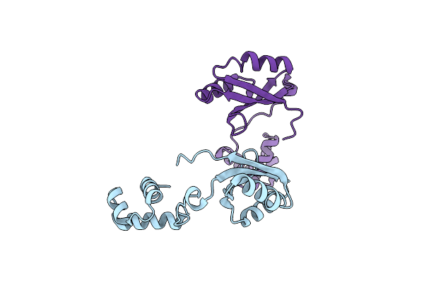 1I1G image