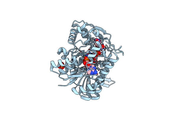 1I24 image