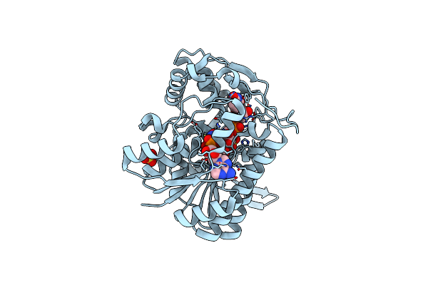 1I2B image
