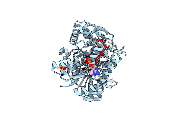 1I2C image