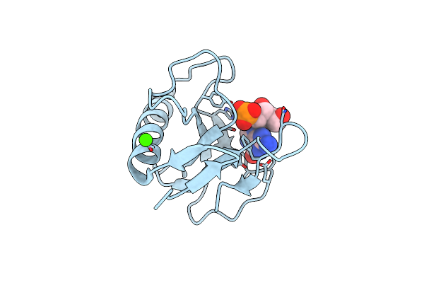 1I2E image