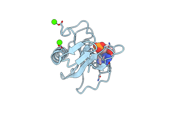 1I2G image