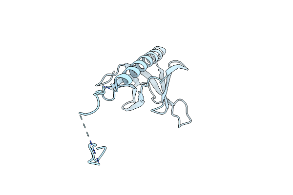 1I2H image