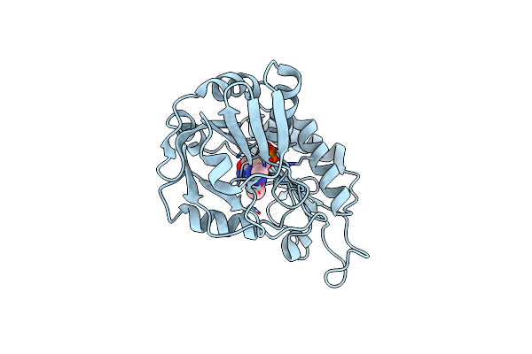 1I2L image