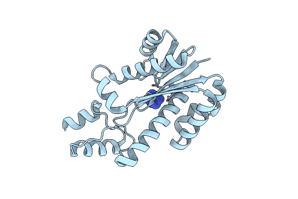 1I3A image