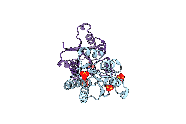 1I3C image