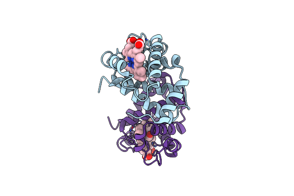 1I3D image