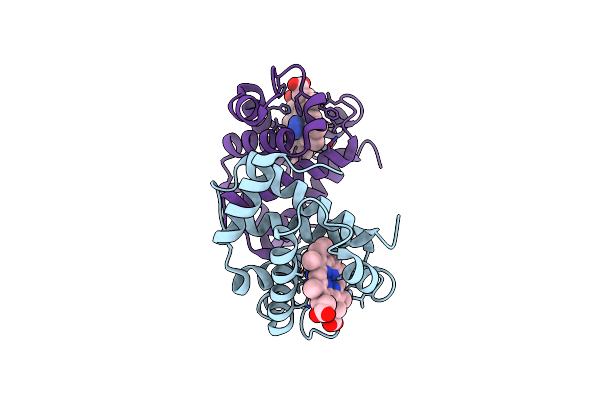 1I3E image