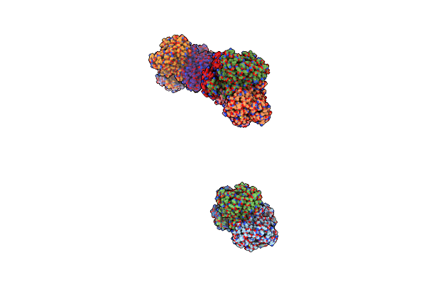 1I41 image