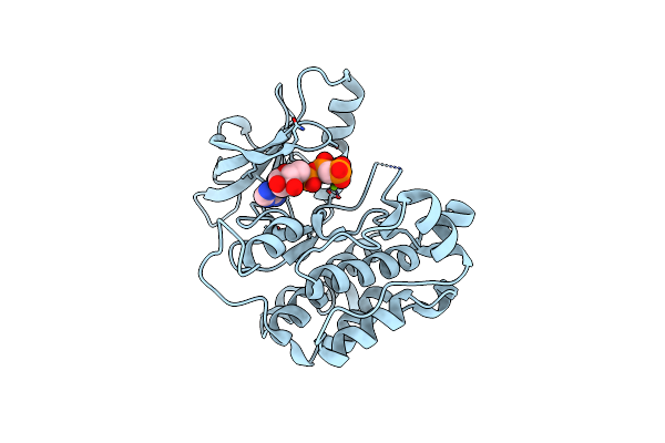 1I44 image