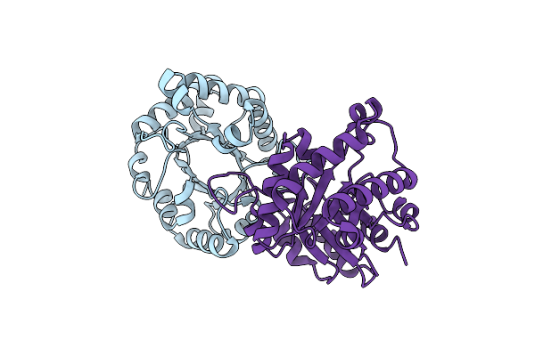 1I45 image