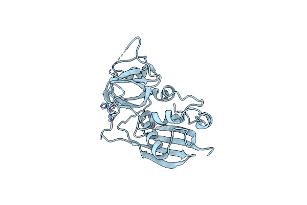 1I4Q image