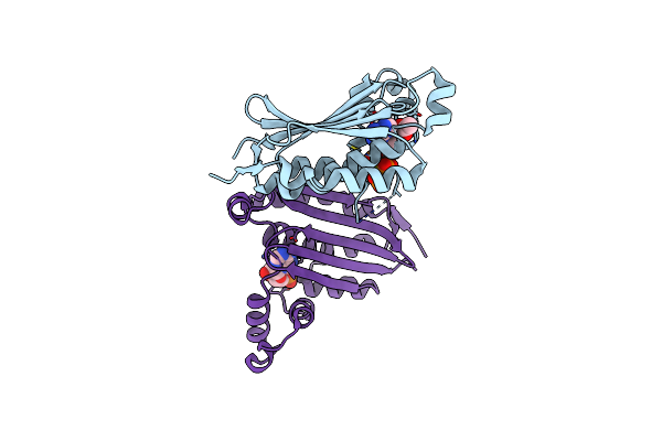 1I59 image