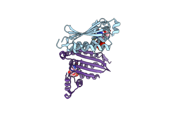 1I5B image