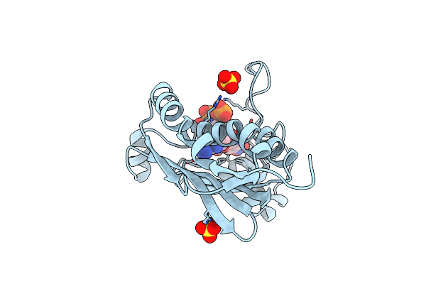 1I5D image